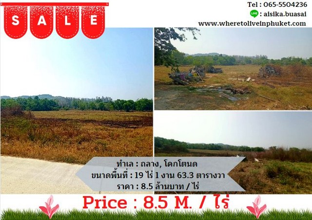 For Sales : Land Thalang, Khoktanod , 19 Rai 1 Ngan 63.3 sq.w.