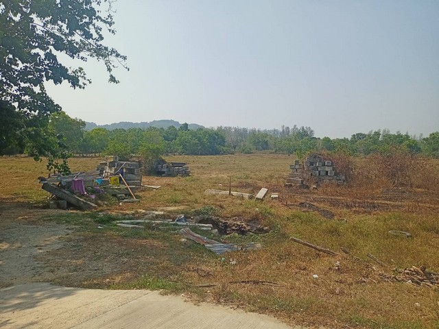 For Sales : Land Thalang, Khoktanod , 19 Rai 1 Ngan 63.3 sq.w.