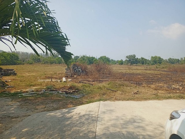 For Sales : Land Thalang, Khoktanod , 19 Rai 1 Ngan 63.3 sq.w.