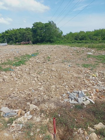 For Sales : Land  at  Thalang, Soi Nai Kham , 1 Rai