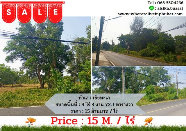For Sales : Land Chengtalay 9 Rai 3 Ngan 72.1 sq.w., Land next to the main road.