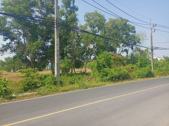 For Sales : Land Chengtalay 9 Rai 3 Ngan 72.1 sq.w., Land next to the main road.