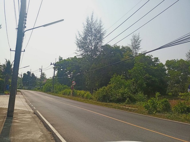 For Sales : Land Chengtalay 9 Rai 3 Ngan 72.1 sq.w., Land next to the main road.