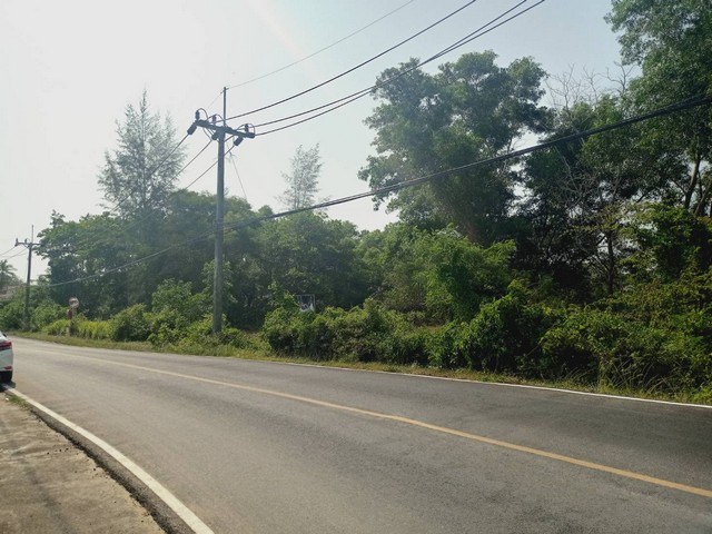 For Sales : Land Chengtalay 9 Rai 3 Ngan 72.1 sq.w., Land next to the main road.