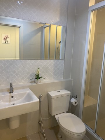 For Rent : The Base Central, Phuket Town, 1 Bedroom 1 Bathroom