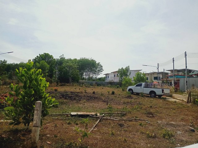 For Sales : Land Thalang, Soi Nai Kham , 3 Ngan 19 sq.w.