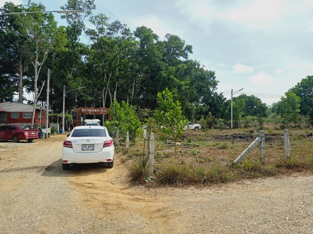 For Sales : Land Thalang, Soi Nai Kham , 3 Ngan 19 sq.w.