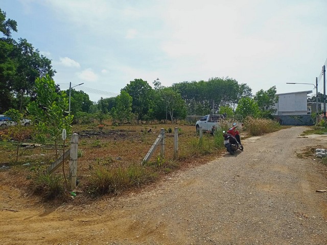 For Sales : Land Thalang, Soi Nai Kham , 3 Ngan 19 sq.w.