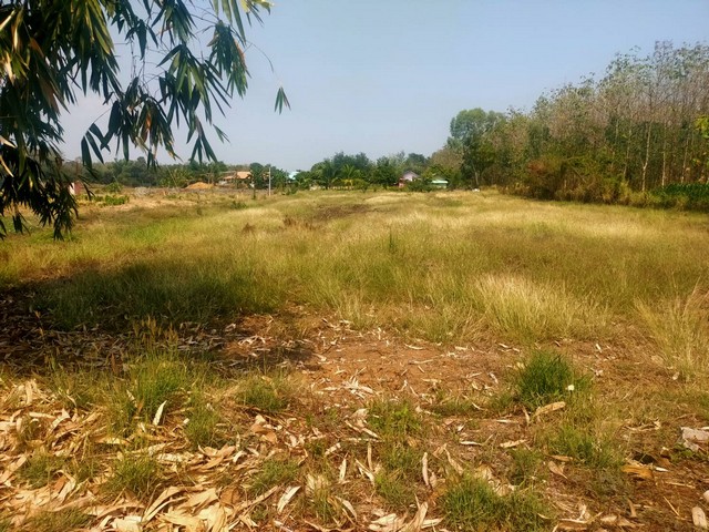 ที่ดินพร้อมบ้านสวนเขตอ.เมืองเพชรบูรณ์ 4 ไร่ บรรยากาศดีมากขายถูก