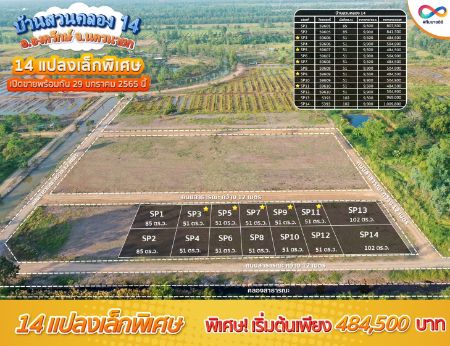 ขาย ที่ดิน ทำเลอนาคตบ้านสวนคลอง 14 องครักษ์ 51 ตร.วา วิวสวย บรรยากาศดี