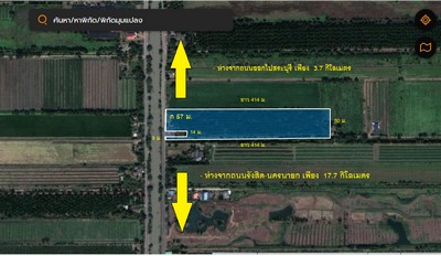 ขายสวนปาล์ม คลอง 11 หนองเสือ 19 ไร่  พร้อมเก็บผลผลิต มีรายได้ทุกๆเดือน ช่วงนี้ราคาปาล์มดีมากเลยค่ะ