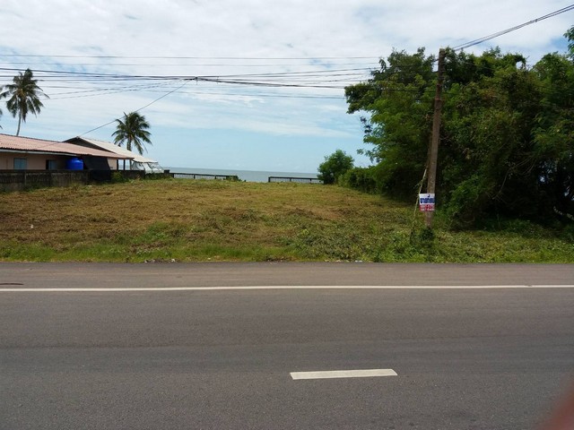 สวยสง่าราคาคุยได้  ที่ดินริมหาดส่วนตัวติดทะเล หาดสะพลี264 ตร.วา ชุมพร 15ลบ. โทร 083-712-4115