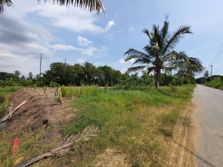 ขาย ที่ดิน ทำเลศักยภาพศาลายา 199 ตร.วา ใกล้ The Royal Gems Golf And Sport Club