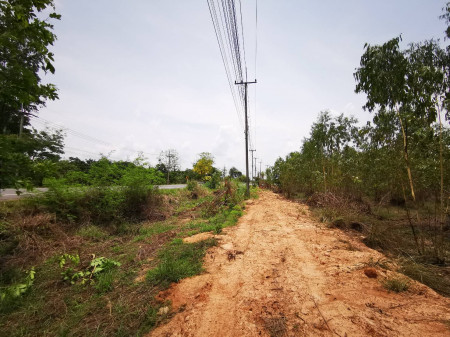 ขาย ที่ดิน ใกล้มอเตอร์เวย์ แหลมฉบังปราจีน ขายที่ดิน จ.ฉะเชิงเทรา อ.พนมสารคาม เกาะขนุน 21 ไร่ 2 งาน 21 ตร.วา