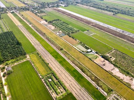 ขาย ที่ดิน ฟรีค่าโอนภาษีคลอง 8 หนองเสือ 200 ตร.วา แปลงเกษตร วิวทุ่งนา ทางเชื่อมผ่านใกล้กรุงเทพ