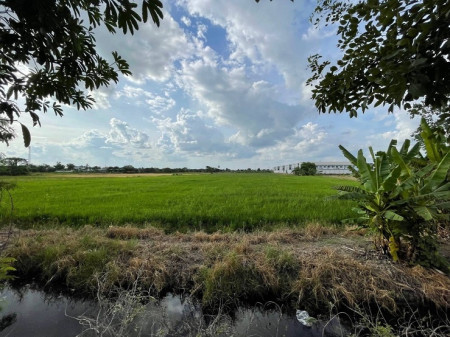 ขาย ที่ดิน ติดถนน ตรงข้าม เพอร์เฟ็ค พาร์ค บางใหญ่ นนทบุรี