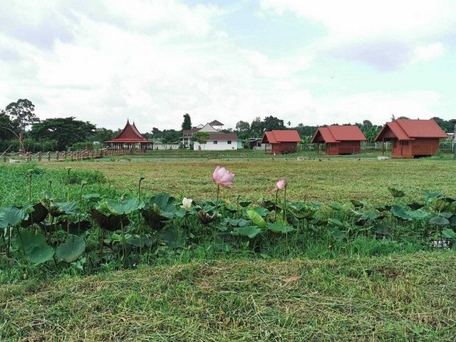 ขายที่ดินพร้อมสิ่งปลูกสร้าง  นาจอมเทียน พัทยา  ใก้ลสวนนงนุชพัทยา