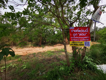 ขาย ที่ดิน ใกล้มอเตอร์เวย์ แหลมฉบังปราจีน ขายที่ดิน จ.ฉะเชิงเทรา อ.พนมสารคาม เกาะขนุน 21 ไร่ 2 งาน 21 ตร.วา