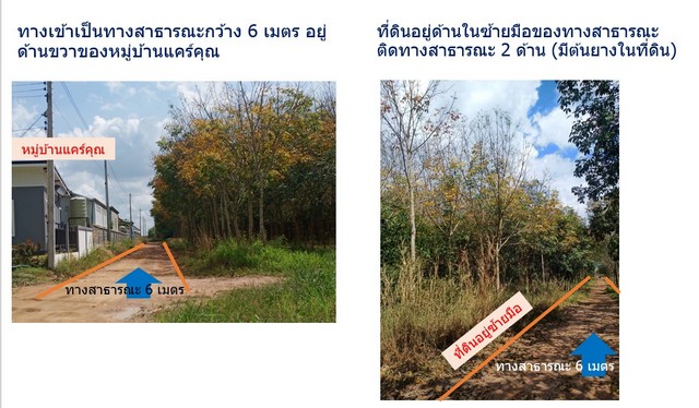 ขายที่ดิน 1ไร่ ถนนสาย 13  ซอย 8 ตำบล พนานิคม  อำเภอ นิคมพัฒนา จังหวัด ระยอง