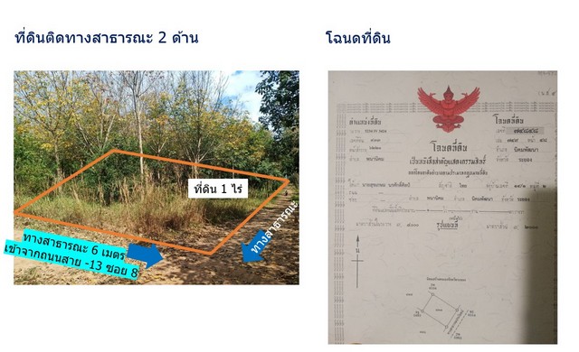 ขายที่ดิน 1ไร่ ถนนสาย 13  ซอย 8 ตำบล พนานิคม  อำเภอ นิคมพัฒนา จังหวัด ระยอง