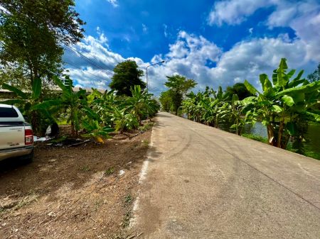 ขาย ที่ดิน โฉนดครุฑแดงฟรีค่าโอนวังน้อย 100 ตร.วา ที่ดินแบ่งแปลงทำเลดีเงินสดเงินผ่อน