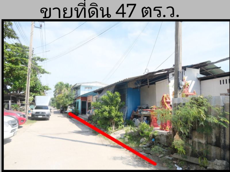 ที่ดินพร้อมบ้าน 47 ตร.ว. หมู่บ้านบางพลีนิเวศน์ ซอยประเสริฐศิลป์ 2 ใกล้โรงเรียนนานาชาติ ไทยจีน