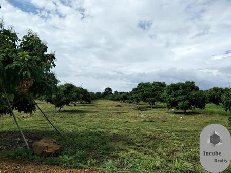 P12LR2007003 ขายที่ดิน หนองตาคง จันทบุรี 12-0-0 ไร่ 2.7 ล้านบาท