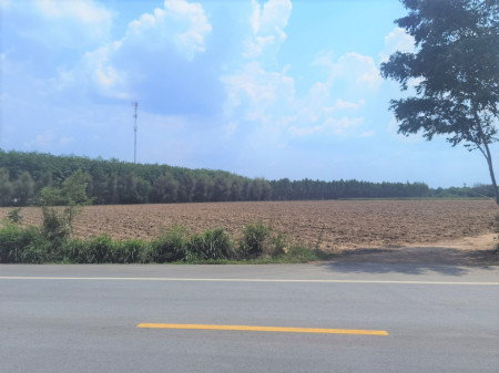 ขาย ที่ดิน ME034 ติดถนนสาธาระณหน้ากว้าง 8 เมตร เกษตรสุวรรณ บ่อทอง ชลบุรี ขนาด 31 ไร่ 92 ตร.วา ใกล้เขตโรงงานอุตสาหกรรม เหมาะทำเกษตร เก็งกำไร