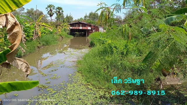 ขาย ที่ดินคลอง 11 หนองเสือ ใกล้วัดป่าคลอง 11 เนื้อที่ 80-1-70 ไร่ รูปแปลงสี่เหลี่ยมผืนผ้า