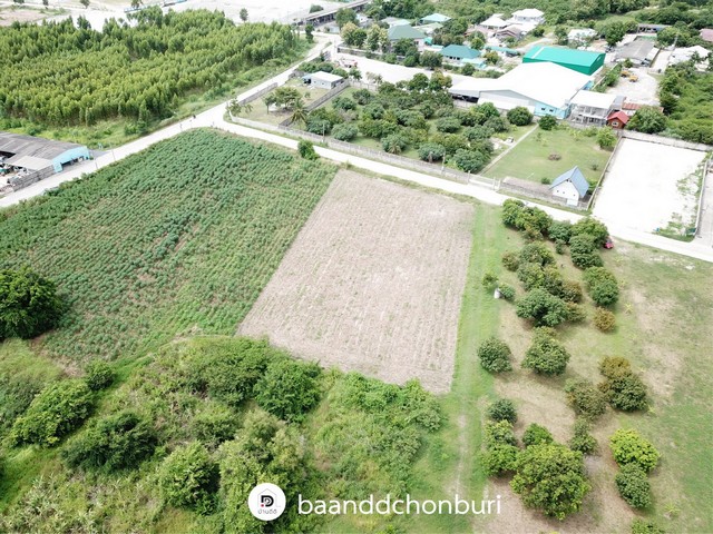 ด่วน ขายที่ดินแปลงสวย สวยมาก ห้วยกะปิ 12 อำเภอเมือง ชลบุรี