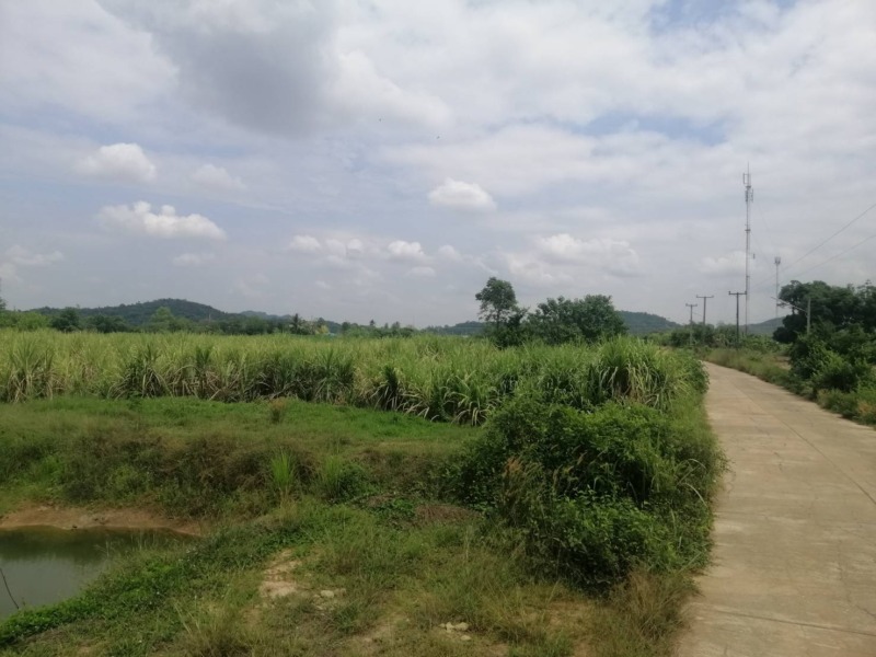 ที่ดินแปลงสวยวิวภูเขาราคางามเมืองการุ้งบ้านไร่อุทัยธานี