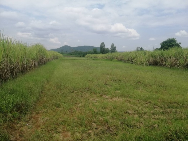 ที่ดินแปลงสวยวิวภูเขาราคางามเมืองการุ้งบ้านไร่อุทัยธานี