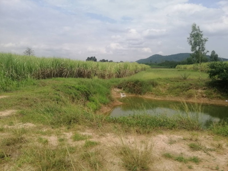 ที่ดินแปลงสวยวิวภูเขาราคางามเมืองการุ้งบ้านไร่อุทัยธานี