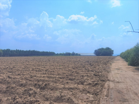 ขาย ที่ดิน ME034 ติดถนนสาธาระณหน้ากว้าง 8 เมตร เกษตรสุวรรณ บ่อทอง ชลบุรี ขนาด 31 ไร่ 92 ตร.วา ใกล้เขตโรงงานอุตสาหกรรม เหมาะทำเกษตร เก็งกำไร