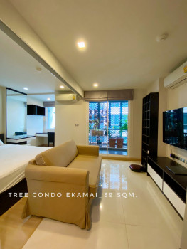 ขาย คอนโด ขายห้องต่อสภาพดี 1 ห้องนอน Tree Condo เอกมัย 39.23 ตรม. ใกล้บีทีเอสเอกมัย