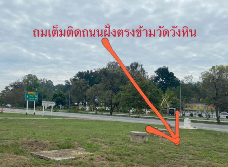 ขายด่วน : ที่ดินถมแล้ว ติดถนนใหญ่4เลน เหลือแปลงเดียวเท่านั้น เมืองพิษณุโลก .