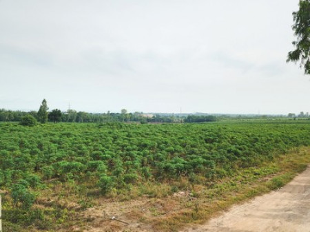 ขาย ที่ดิน ต.หนองสาหร่าย อ.ปากช่อง 270 ไร่ วิวเขาสวยมาก ถูกที่สุดในย่านนี้