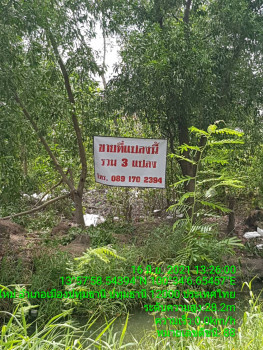 ขายที่ดินเปล่า 3แปลง รวม270ตร.วา ซอยร่วมสุข (บ้านพักคนชรา) บ้านใหม่ ปทุมธานี .