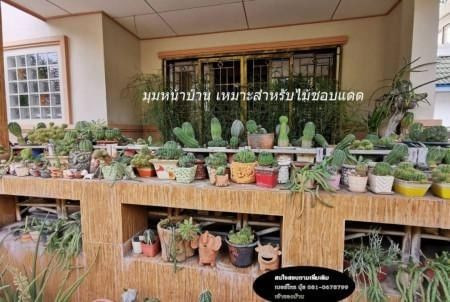 ขายด่วน : บ้านศรีราชาเทาวเวอร์ 2 ราคาถูก ของแถมเพียบ บ้านดี อยู่แล้วรวย บ้านสวย อยู่เย็นเป็นสุข .