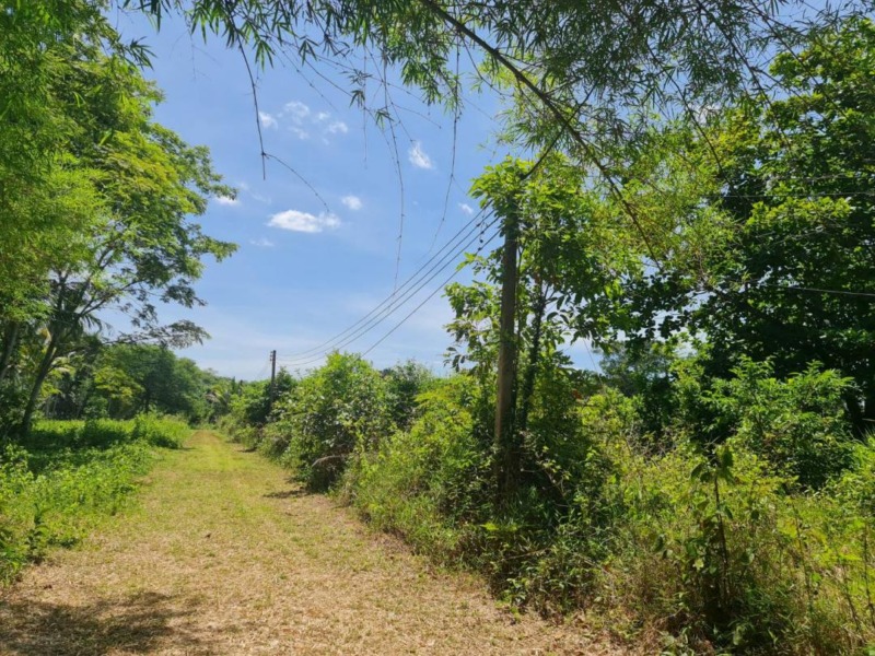 ขายที่ดินติดทะเล 37 ไร่ ใกล้ท่าเรือเกาะช้าง อ่าวตาลคู่ จ.ตราด