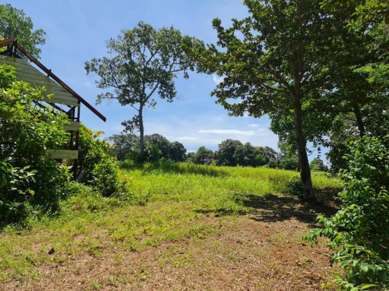 ขายที่ดินติดทะเล 37 ไร่ ใกล้ท่าเรือเกาะช้าง อ่าวตาลคู่ จ.ตราด