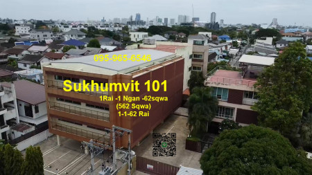 Sale Land 1.5Rai at Sukhumvit plus Office building and house with private pool at Best Price