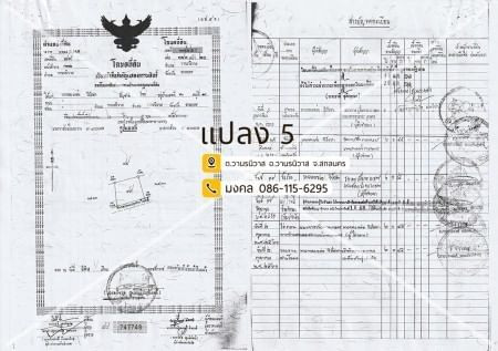 ขายด่วน : ที่ดิน แปลงใหญ่ 173ไร่ 1งาน 83ตารางวา รวม6โฉนดติดกัน วานรนิวาส สกลนคร .