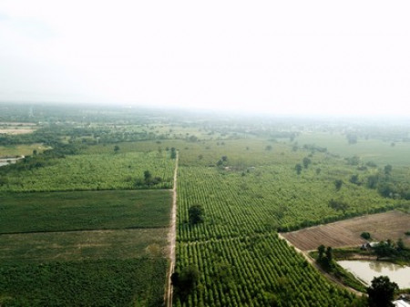 ขาย ที่ดิน ต.หนองสาหร่าย อ.ปากช่อง 270 ไร่ วิวเขาสวยมาก ถูกที่สุดในย่านนี้