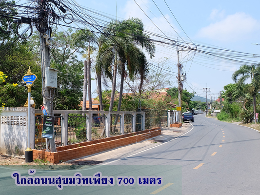 81456 – ขายด่วน! บ้านพร้อมที่ดิน 1-0-56 ไร่ ถนนเทศบาล 87 ซอยจามจุรี 3 สัตหีบ ชลบุรี
