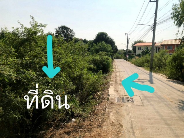 ขายที่ดินซอยวัดเปรมประชากร อยู่ใกล้ work point ตำบล บางพูน อำเภอเมืองปทุมธานี จ.ปทุมธานี