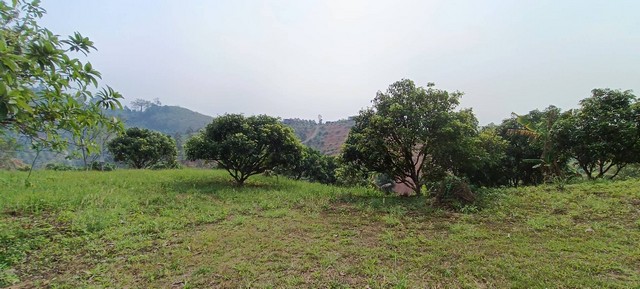 ขายเปลี่ยนสิทธิการครอบครองที่ดินทำกิน พื้นที่ 60ไร่ อ.โป่งน้ำร้อน จันทบุรี