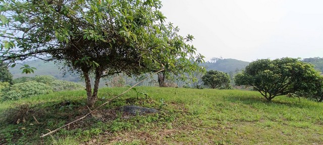 ขายเปลี่ยนสิทธิการครอบครองที่ดินทำกิน พื้นที่ 60ไร่ อ.โป่งน้ำร้อน จันทบุรี