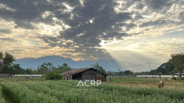 ขายที่ดินแปลงสวย วิวดอยสุเทพ อ.แม่ริม จ.เชียงใหม่ ขนาด 320 ตร.ว.