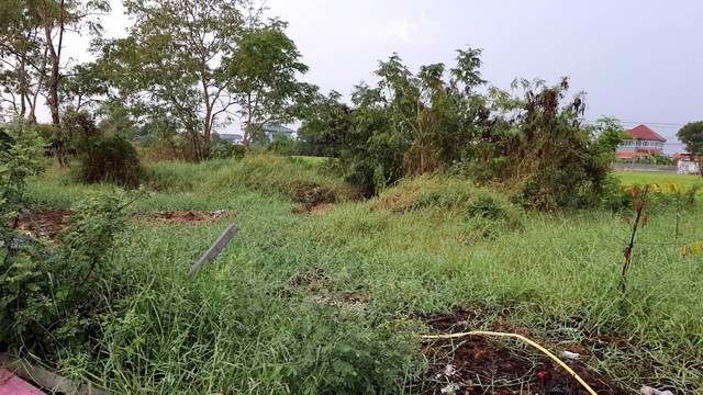 พื้นที่ดิน ที่ดิน ลำโพ 0 Rai 1 Ngan 40 ตรว. 2800000 บาท. ใกล้กับ 1. องค์การบริหารส่วนตำบลลำโพ 2. ที่ว่าารอำเภอบางบัวทอง ราคา – สุดคุ้ม นนทบุรี